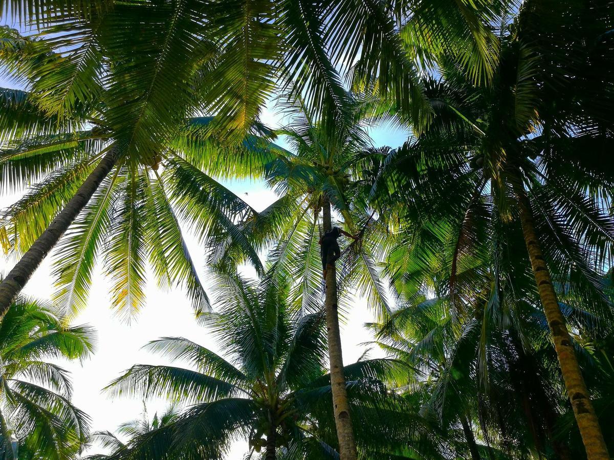 Apartamento Siargao Residency Union  Exterior foto